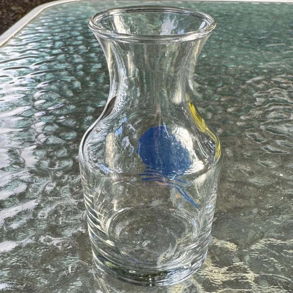 Vintage Clear Glass Carafe Bud Vase Blue Face Profiles Graphic Small Decanter